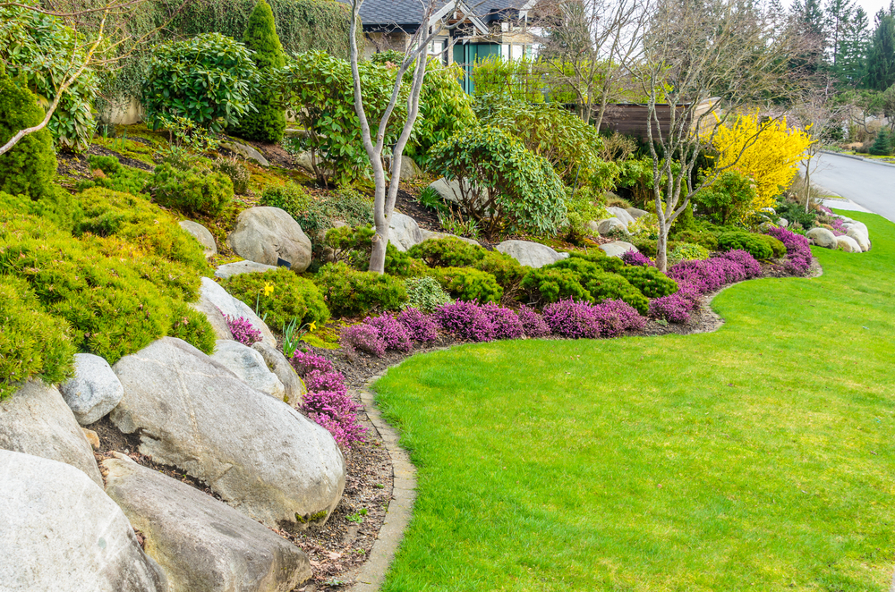 Landscaping in Cheddar